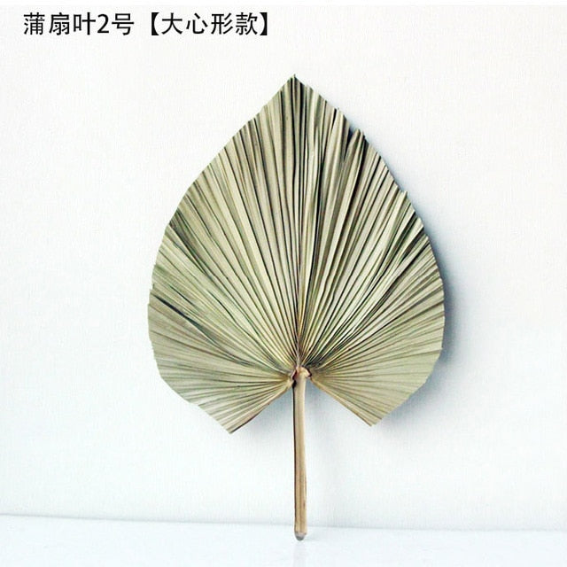 Palm Leaf